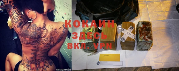 ПСИЛОЦИБИНОВЫЕ ГРИБЫ Осташков