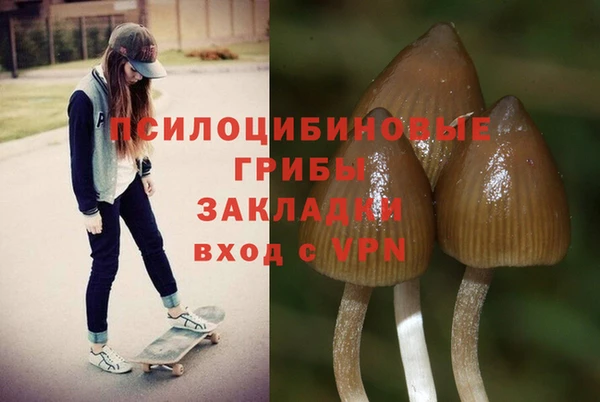 дурь Остров